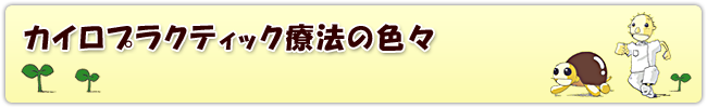 カイロプラクティック療法の色々